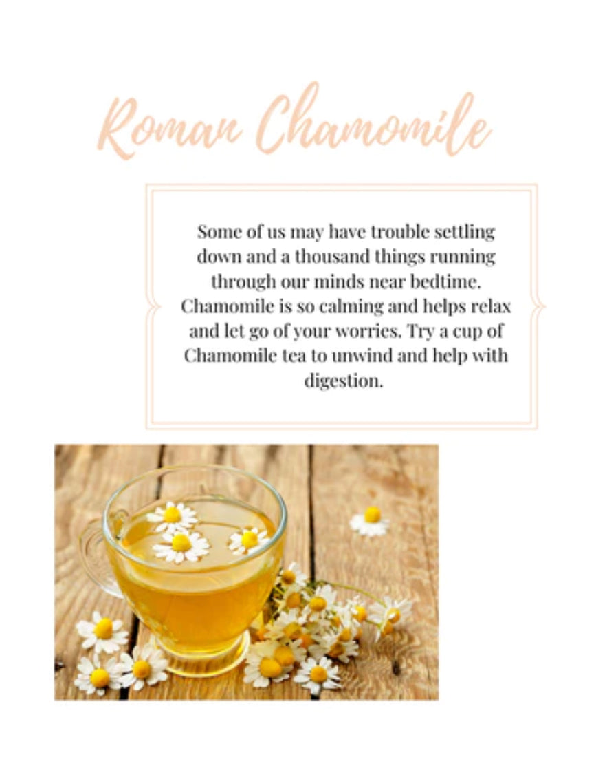 Essential Oil Of The Week: Roman Chamomile